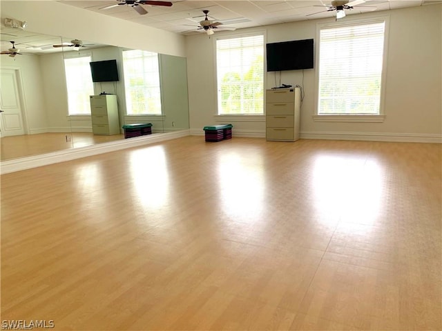 empty room featuring ceiling fan and light wood-type flooring