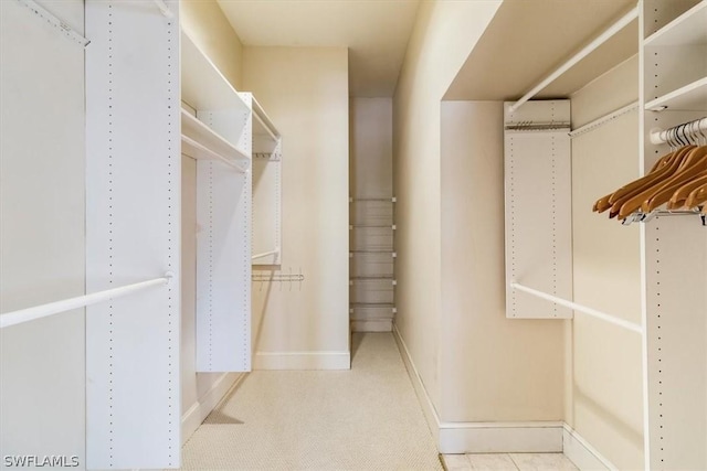 view of walk in closet