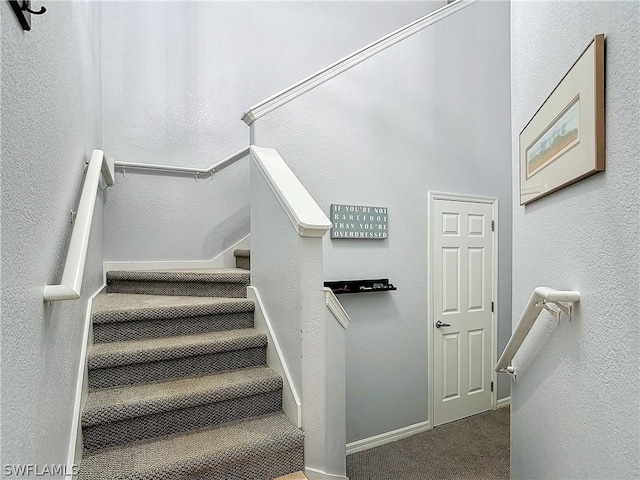 stairway featuring carpet