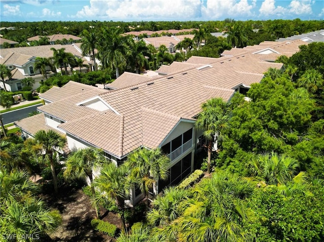 bird's eye view