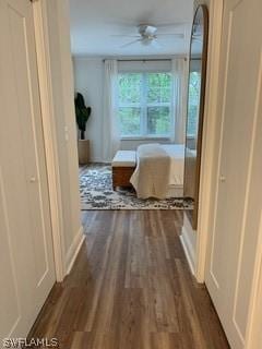 hallway featuring dark wood-type flooring