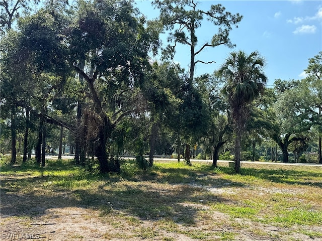 Listing photo 3 for 500 Avalon Ave, Labelle FL 33935