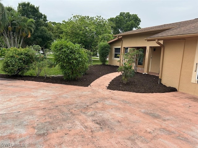 view of yard featuring a patio area