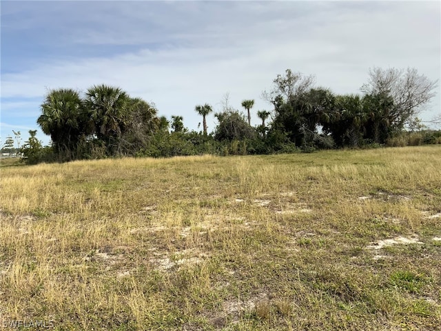 4125 NW 36th Ave, Cape Coral FL, 33993 land for sale