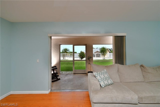 living room with hardwood / wood-style floors