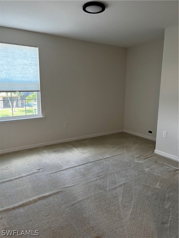 spare room featuring carpet floors