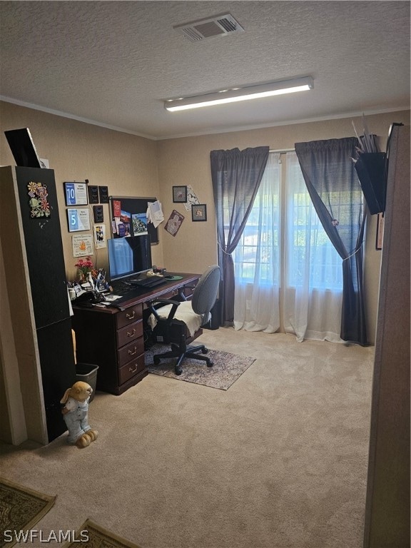 carpeted home office with ornamental molding and a textured ceiling