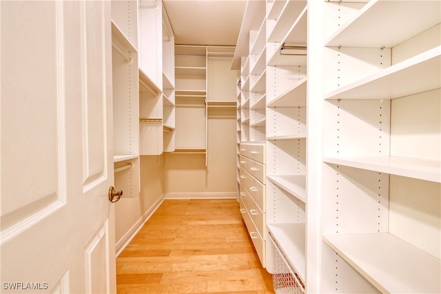 walk in closet featuring light hardwood / wood-style floors