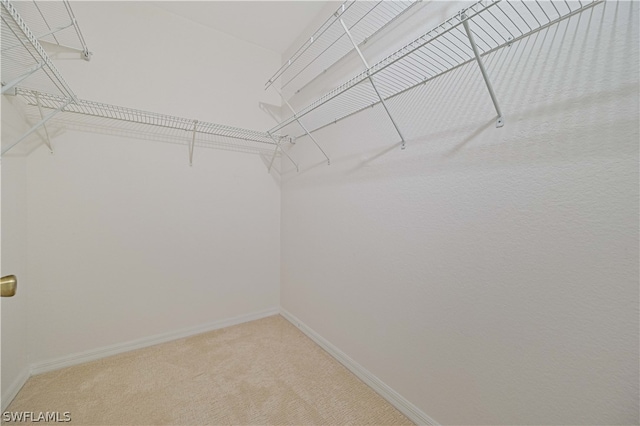 walk in closet with light colored carpet