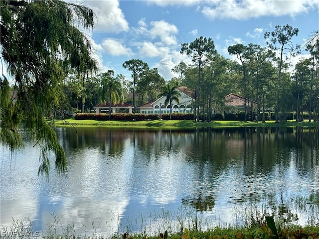 view of water feature