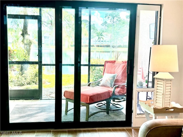 doorway to outside featuring a healthy amount of sunlight and wood-type flooring