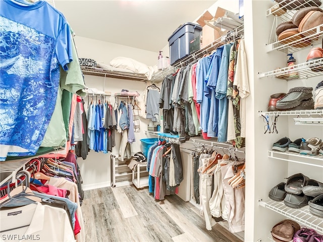 spacious closet featuring light wood-type flooring