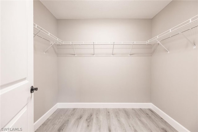 spacious closet with light hardwood / wood-style floors