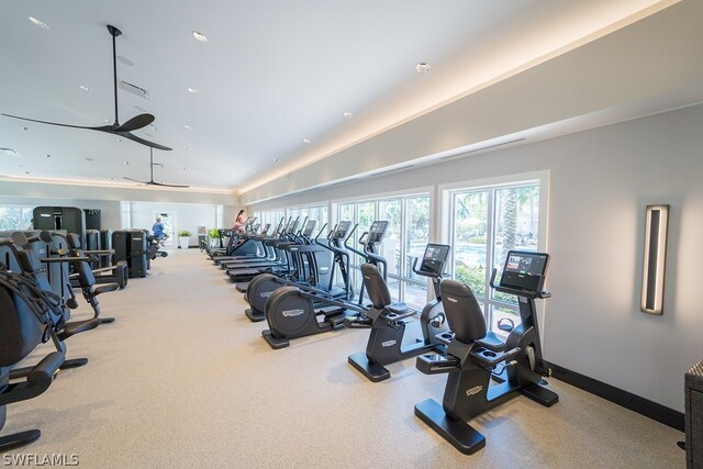 exercise room featuring plenty of natural light