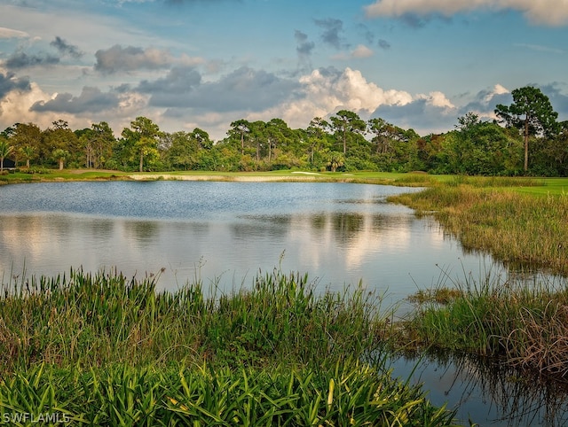 property view of water