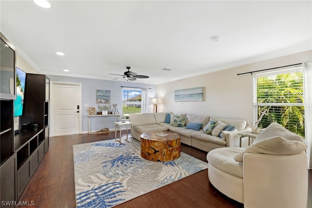 living room featuring ornamental molding, dark wood-type flooring, and ceiling fan