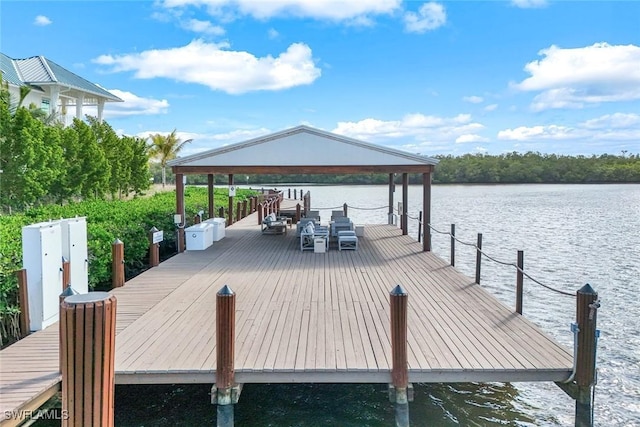 dock area with a water view