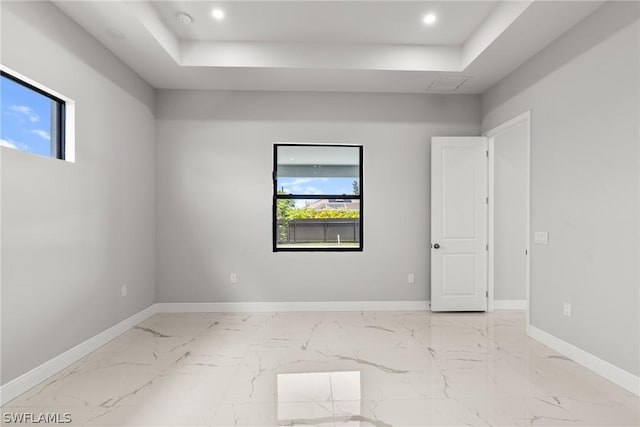 spare room featuring a wealth of natural light and a tray ceiling