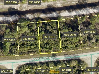 1031 Coleridge St, Lehigh Acres FL, 33974 land for sale