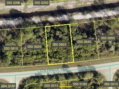 1031 Coleridge St, Lehigh Acres, FL 33974
