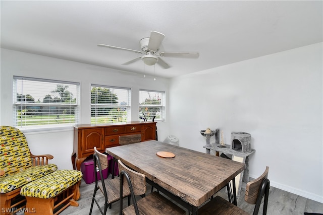 dining area featuring ceiling fan and light hardwood / wood-style flooring