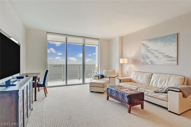 carpeted living room with a wall of windows