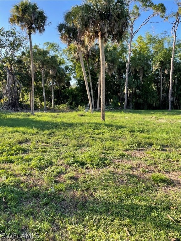 27600 Pierce Ave, Bonita Springs FL, 34135 land for sale