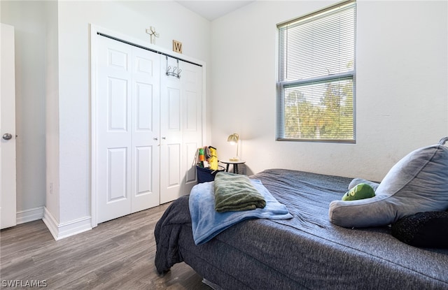 bedroom featuring a closet and wood-type flooring