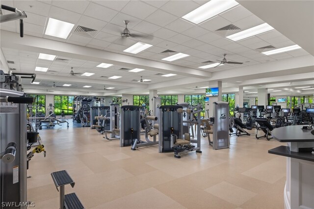 exercise room with a drop ceiling and ceiling fan