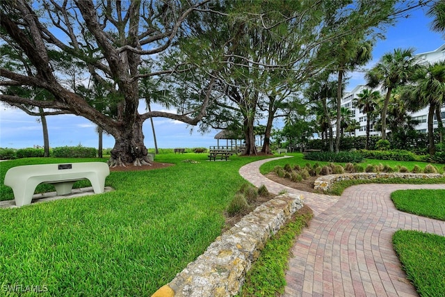 view of property's community featuring a yard