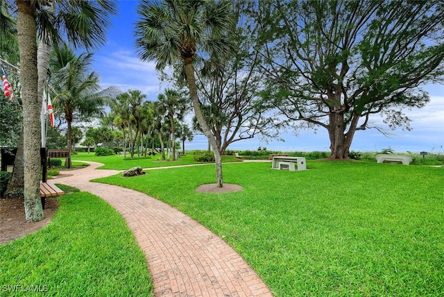 view of property's community with a yard