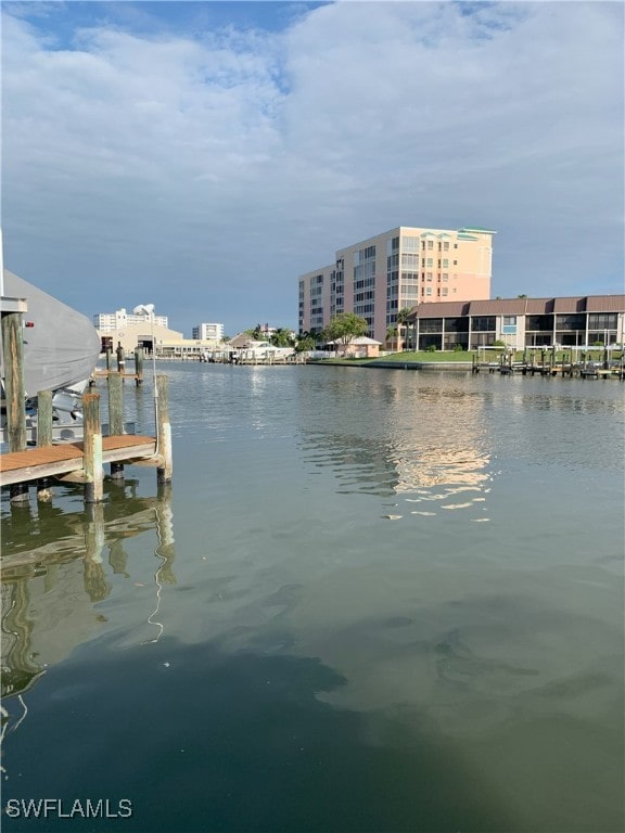 water view with a dock