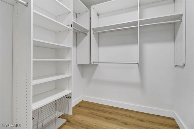 spacious closet featuring wood-type flooring