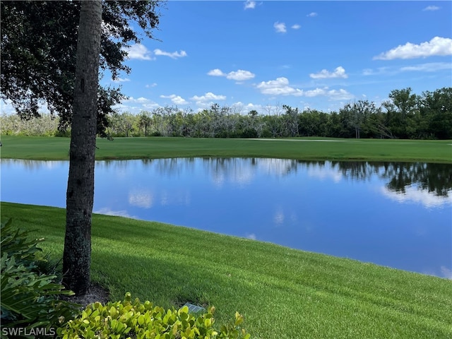 view of water feature