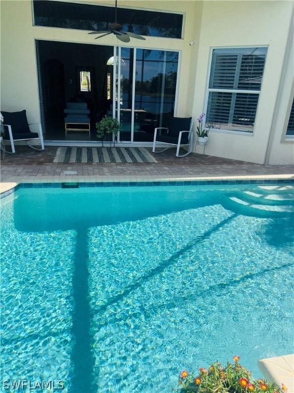 view of swimming pool with a patio and ceiling fan