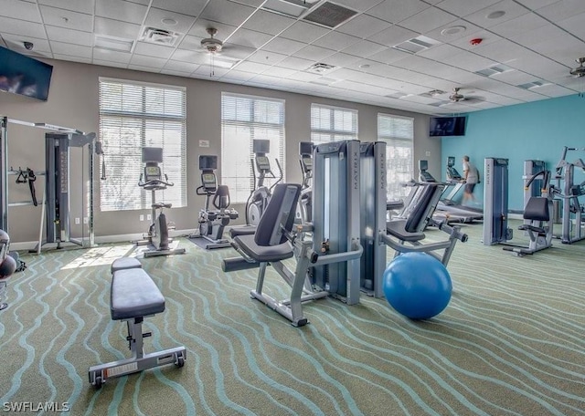 exercise room with ceiling fan, a drop ceiling, and carpet flooring