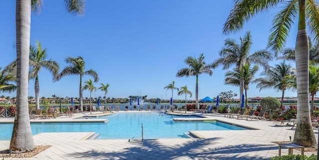 view of swimming pool with a patio