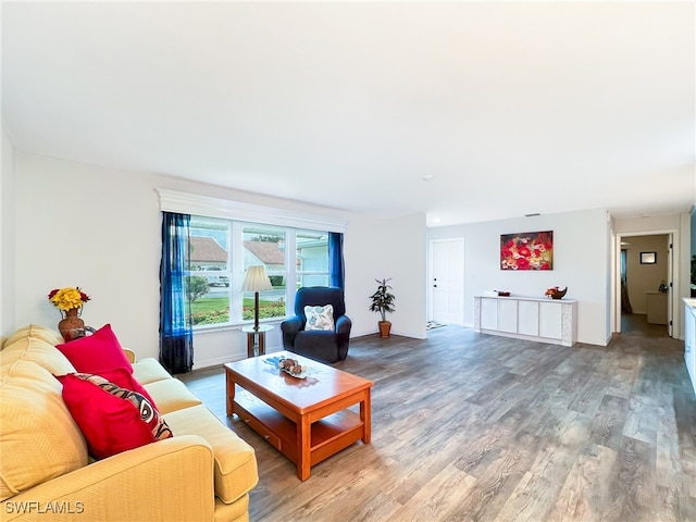 living room with wood-type flooring