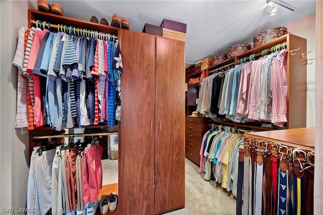 spacious closet featuring light colored carpet