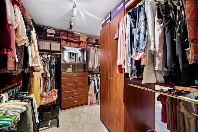 spacious closet featuring light colored carpet