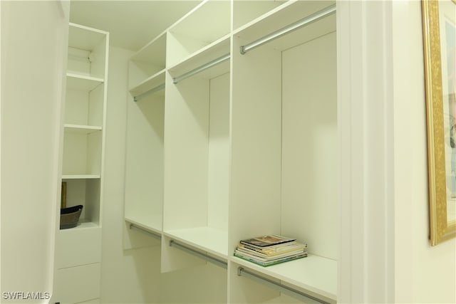 view of walk in closet