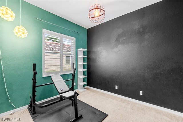 exercise room featuring carpet floors