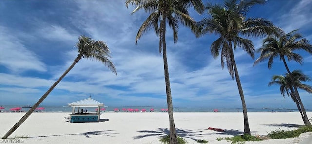 water view featuring a beach view