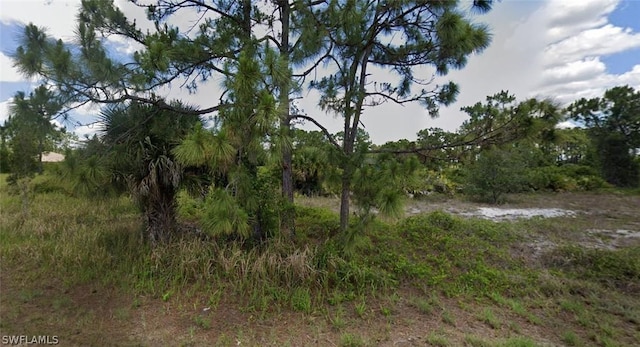 1125 Crocus St, Lehigh Acres FL, 33974 land for sale