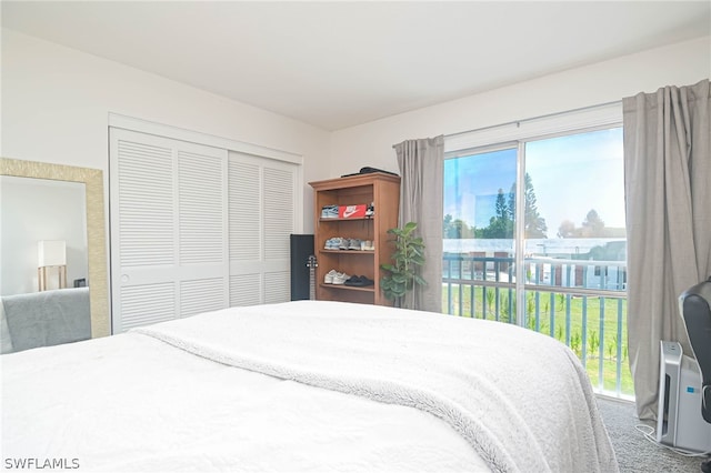 bedroom with a closet and carpet flooring