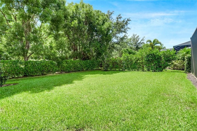 7787 Martino Cir, Naples, FL 34112 - view of grassy yard