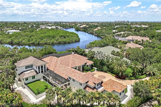 bird's eye view with a water view