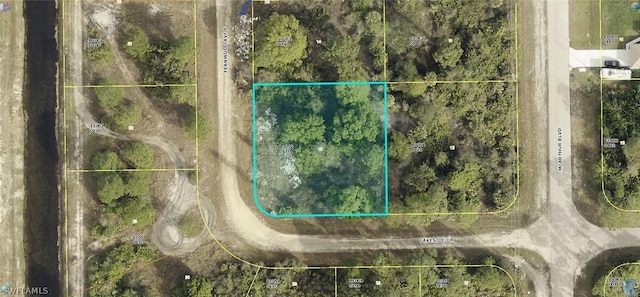 1117 Catenary St, Lehigh Acres FL, 33974 land for sale