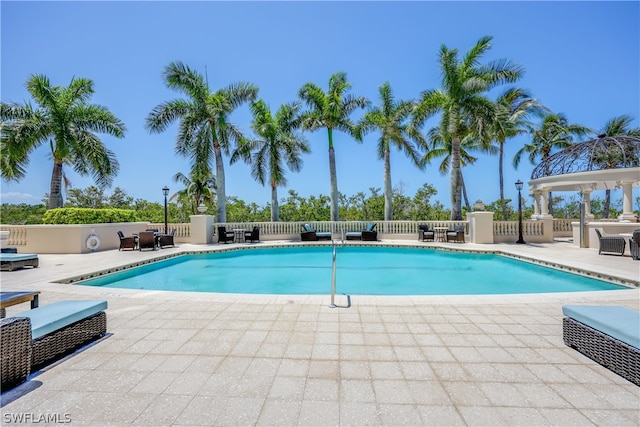 view of pool featuring a patio area