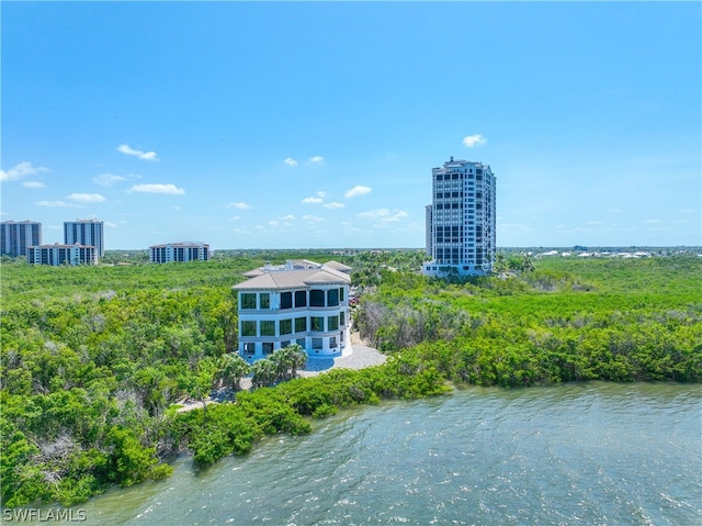 birds eye view of property with a water view